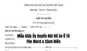 Mẫu Giấy Ủy Quyền Rút Hồ Sơ Ô Tô 2025 File Word & Cách Điền